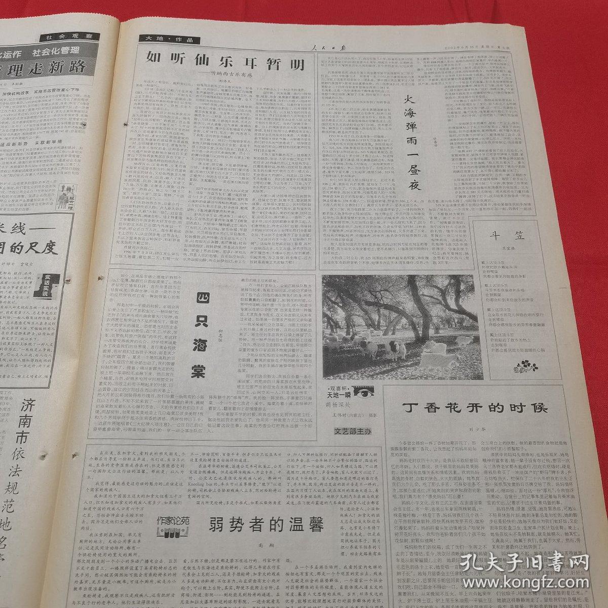 评委点评 2026年第69届荷赛（非洲）获奖作品解析！(图1)